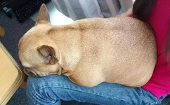 丫头别动我还在里面